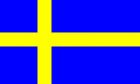 Gastlandflagge 20x30 cm | Schweden