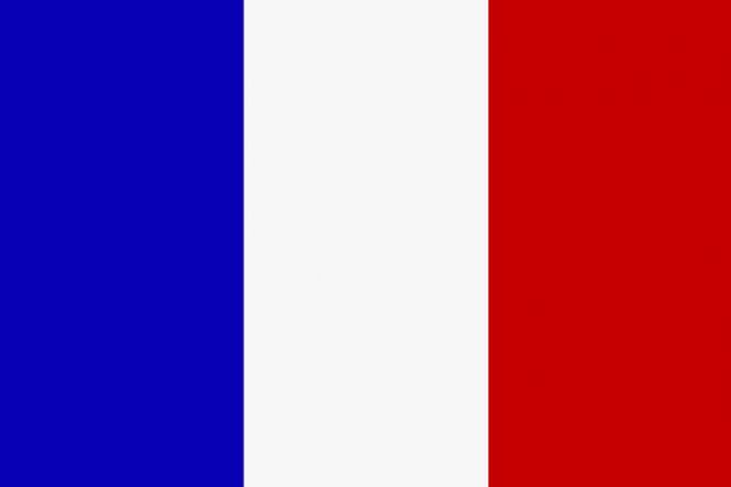 Gastlandflaggen 30x45 cm | Frankreich